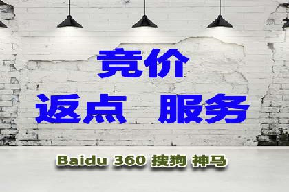 信息流广告代理项目案例分析