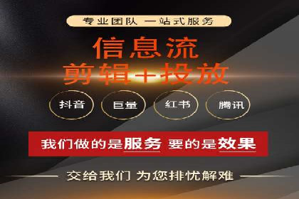 热门SEM运营公司案例深度剖析